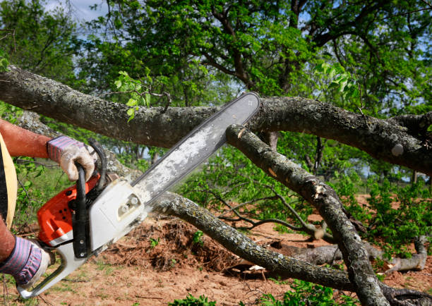 Soil Testing and Treatment in Westhampton, NY